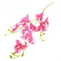 Orchidea ág fürt - Pink