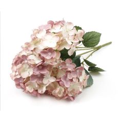   Bokros hortenzia csokor - Fáradt rózsaszín 5 fejes, 11-12 cm fejátmérő 