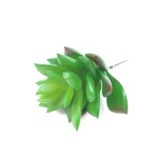  Mű pozsgás növény 97 - 7 cm átmérőjű 