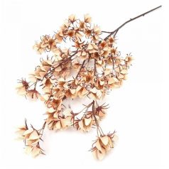 Őszi tüskés virágos ág - Barack - 84 cm