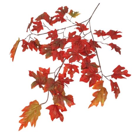 Levél ág 12 - 70 cm