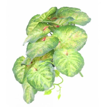  Futós zöld kicsi csokor - Kerek levelű tarka - 28 cm  