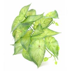 Futós zöld kicsi csokor - Kerek levelű zöld - 28 cm