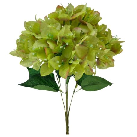 5 ágas bougainvillea csokor - Zöld - 45 cm 