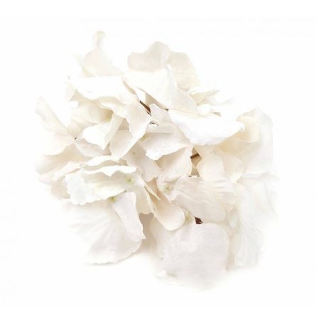  Hortenzia fej - Tört fehér - 15-16 cm fejátmérő 