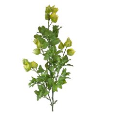 Physalis ág - Sárga - 70 cm