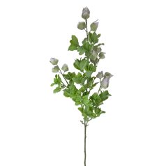 Physalis ág - Lila - 70 cm 
