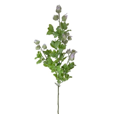 Physalis ág - Lila - 70 cm 