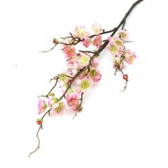  Virágzó barack ág - Cirmos rózsaszín - 90 cm 