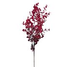 Őszi színátmenetes eukalypthus ág -  Pink-bordó - 79 cm
