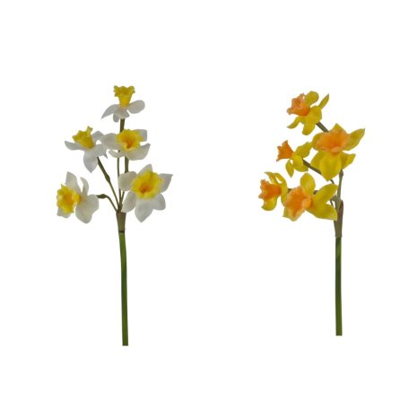 Szálas gumi nárcisz - Fehér-Sárga - 47 cm