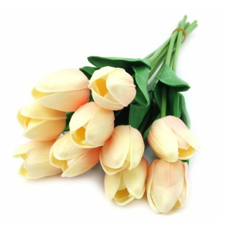 Élethű tulipán - Barack - 10 szál/köteg - 33 cm 