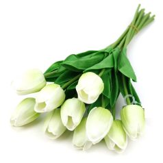 Élethű tulipán - Halvány zöld - 10 szál/köteg - 33 cm