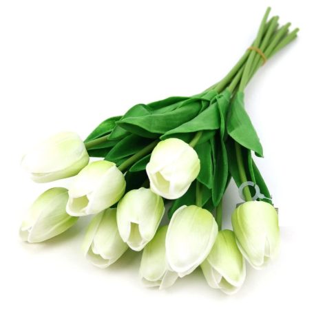 Élethű tulipán - Halvány zöld - 10 szál/köteg - 33 cm