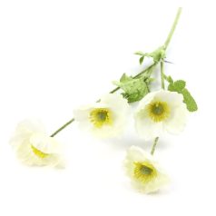 Szálas pipacs - Tört fehér - 60 cm 