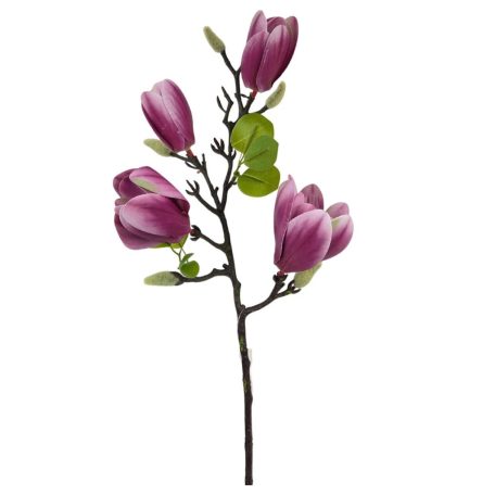 Magnólia ág D - Pink - 67 cm  