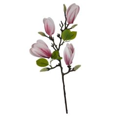 Magnólia ág D - Rózsaszín - 67 cm  