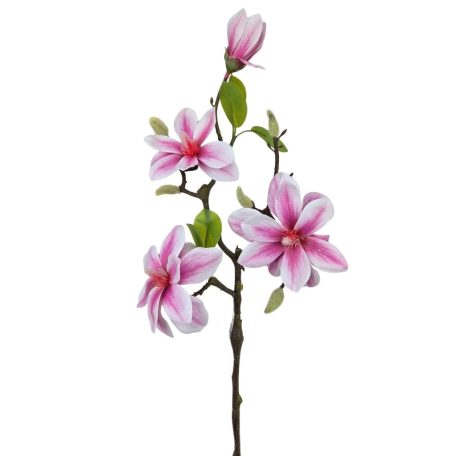 Magnólia ág A - Pink - 56 cm