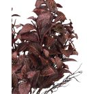 Műzöld 389 - Bordó - 53 cm  