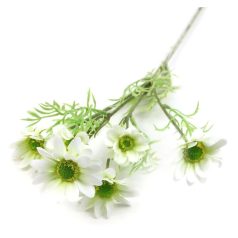 Szálas pillangóvirág - Fehér - 59 cm