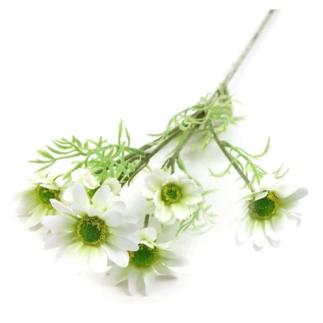 Szálas pillangóvirág - Fehér - 59 cm