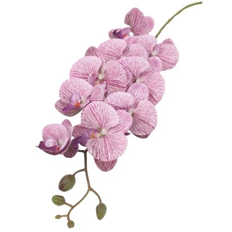 Orchidea ág - Phalenopsis - 9 fejes - Mályva - 110 cm 