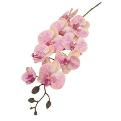   Orchidea ág - Phalenopsis - 9 fejes -- Barack-rózsaszín - 110 cm
