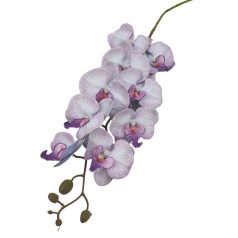 Orchidea ág - Phalenopsis - 9 fejes - Lila - 110 cm 