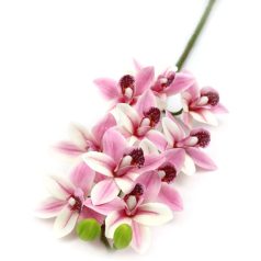 Cymbidium ág - Rózsaszín cirmos - 73 cm