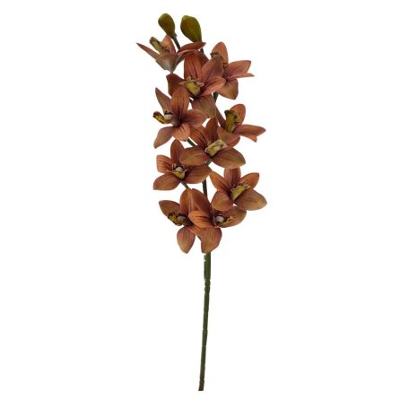 Cymbidium ág - Barna cirmos - 73 cm