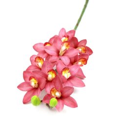 Cymbidium ág - Mályva - 73 cm