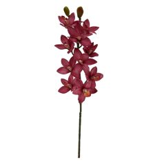 Cymbidium ág - Mályva - 73 cm 