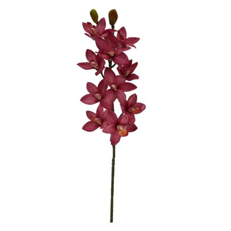 Cymbidium ág - Mályva - 73 cm 