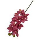 Cymbidium ág - Mályva - 73 cm 