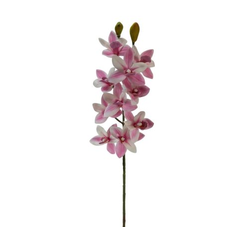 Cymbidium ág - Rózsaszín cirmos - 73 cm 