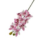Cymbidium ág - Rózsaszín cirmos - 73 cm 