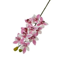 Cymbidium ág - Rózsaszín cirmos - 73 cm 