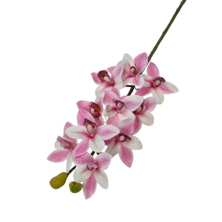 Cymbidium ág - Rózsaszín cirmos - 73 cm 
