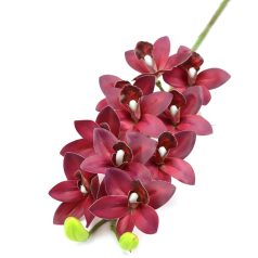 Cymbidium ág - Bordó - 73 cm