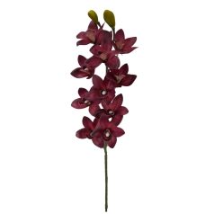 Cymbidium ág - Bordó - 73 cm