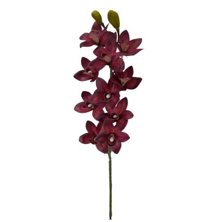 Cymbidium ág - Bordó - 73 cm