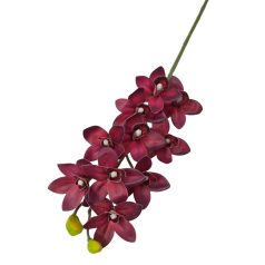 Cymbidium ág - Bordó - 73 cm