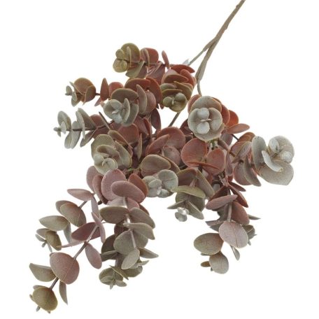 Eukalypthus ág 50 cm - Barna - 50 cm