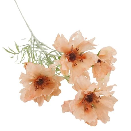 Cakkos szirmú szálas virág - Barack - 60 cm