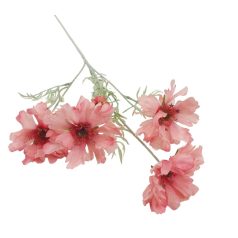 Cakkos szirmú szálas virág - Fáradt rózsaszín - 60 cm