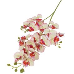 Kicsi virágú phalenopsis ág - Cirmos - 77 cm 