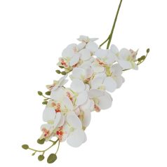 Kicsi virágú phalenopsis ág - Fehér - 77 cm