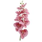 Fodros szirmú phalenopsis ág - Mályva - 90 cm 