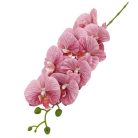 Fodros szirmú phalenopsis ág - Mályva - 90 cm 