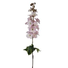 Hosszú sarkantyúfű - Cirmos lila - 90 cm